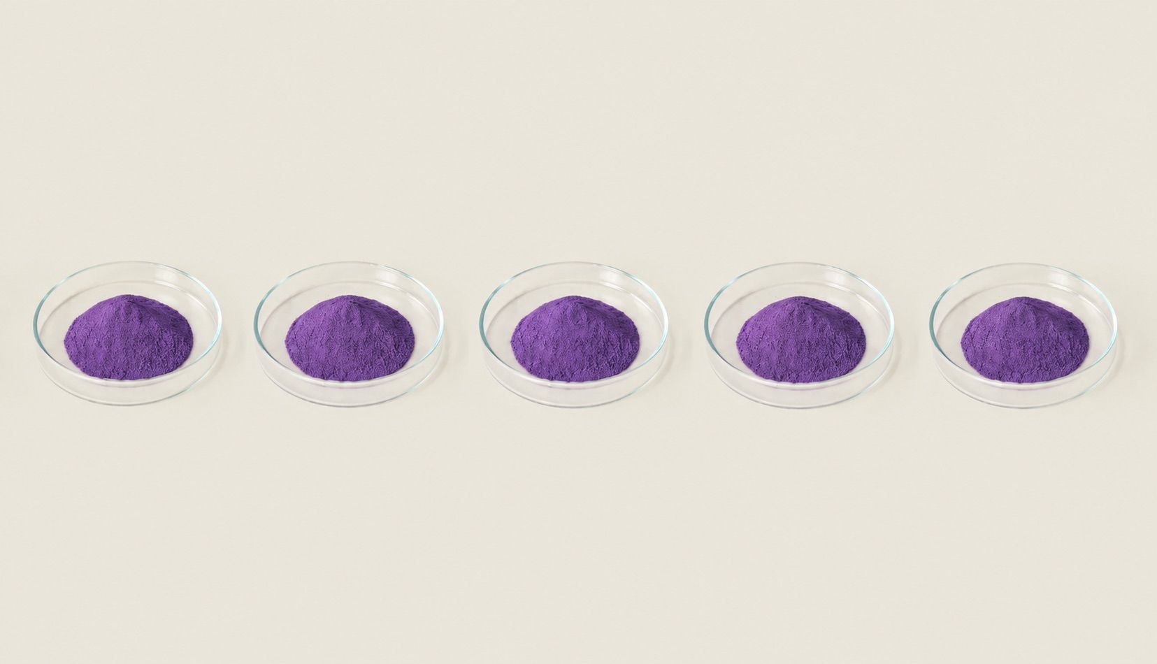 Five small glass dishes in a row, each holding a mound of fine violet ube powder.