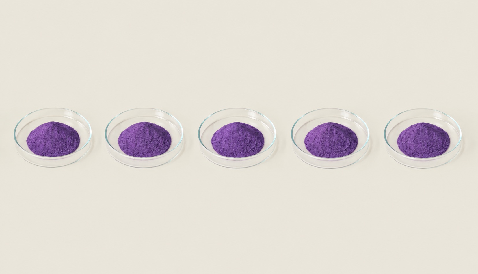 Five small glass dishes in a row, each holding a mound of vivid violet Ube Kinampay powder, on a pale background.